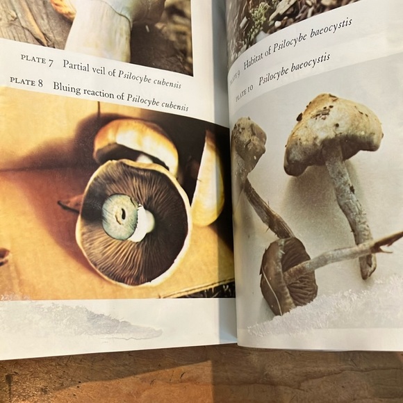 Growing Wild Mushrooms Book by Bob Harris - water damaged - Picture 14 of 16